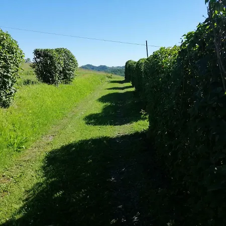 Panzió Cascina Cadabosio *